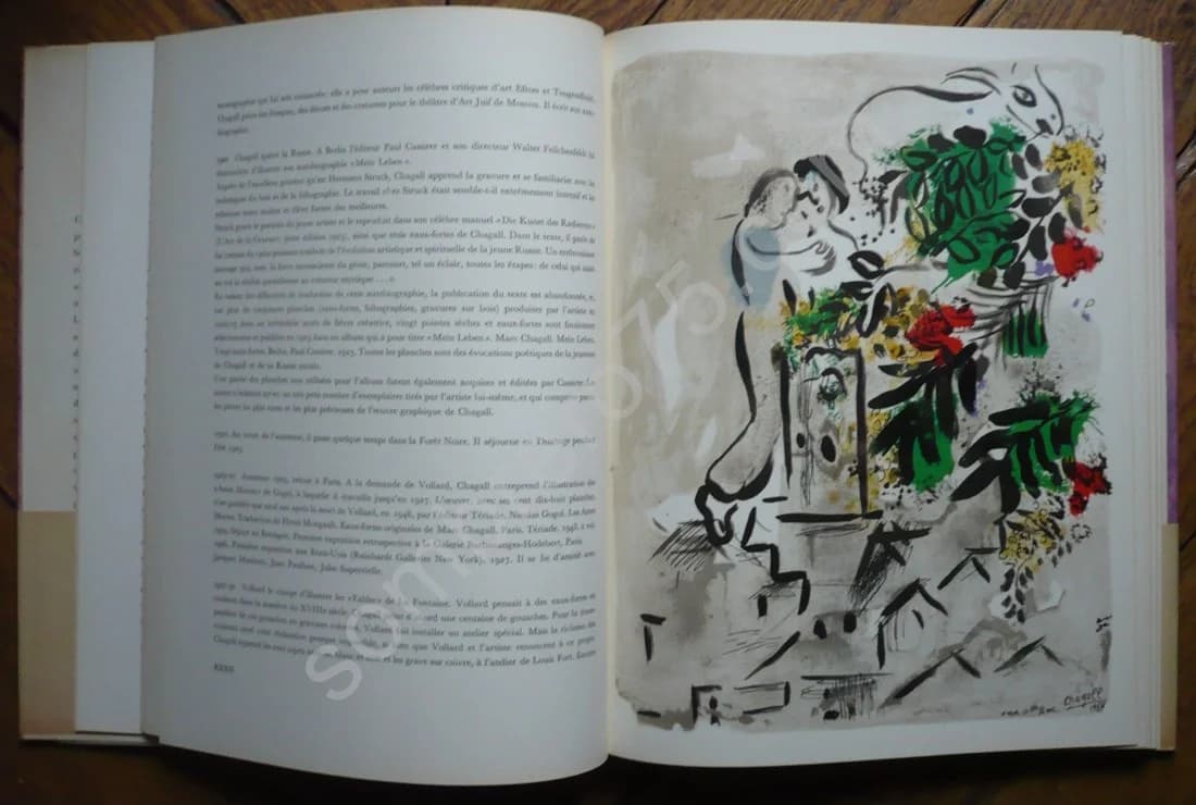 Marc Chagall - L'Oeuvre Gravé. Franz Meyer - Image 3