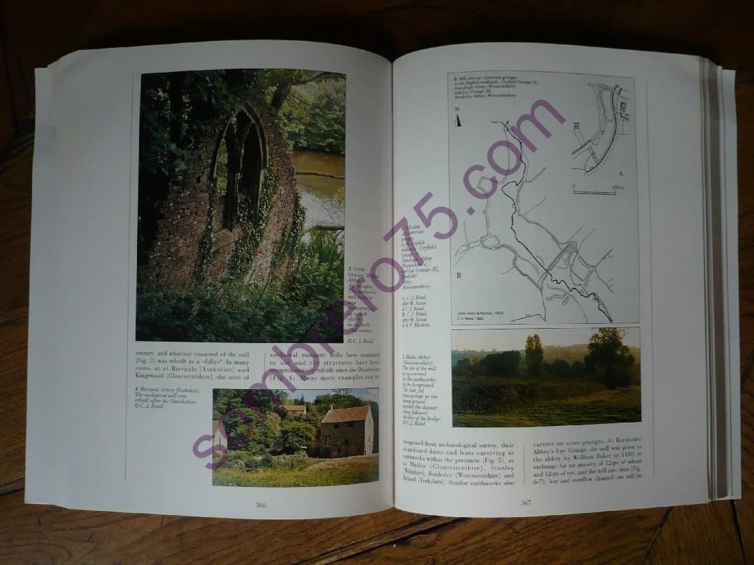 L'Espace Cistercien - Image 4