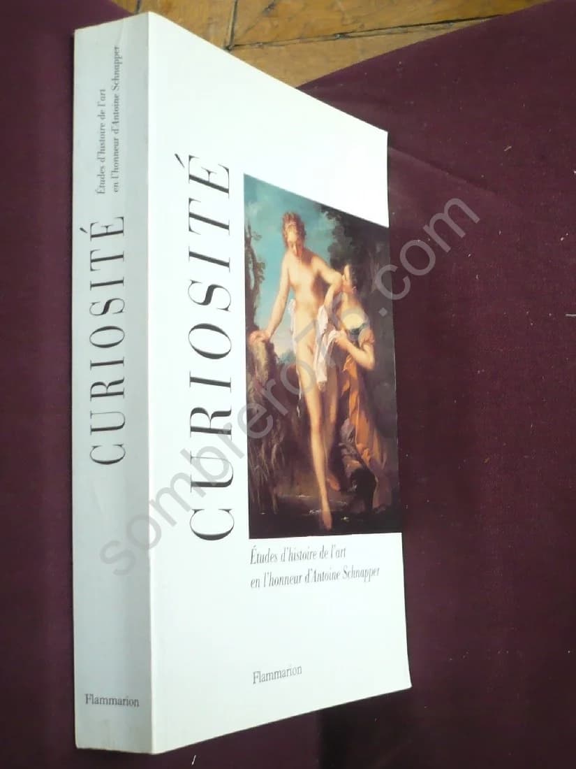 Curiosité - Etudes d'Histoire de l'Art en l'Honneur d'Antoine Schnapper - Image 2