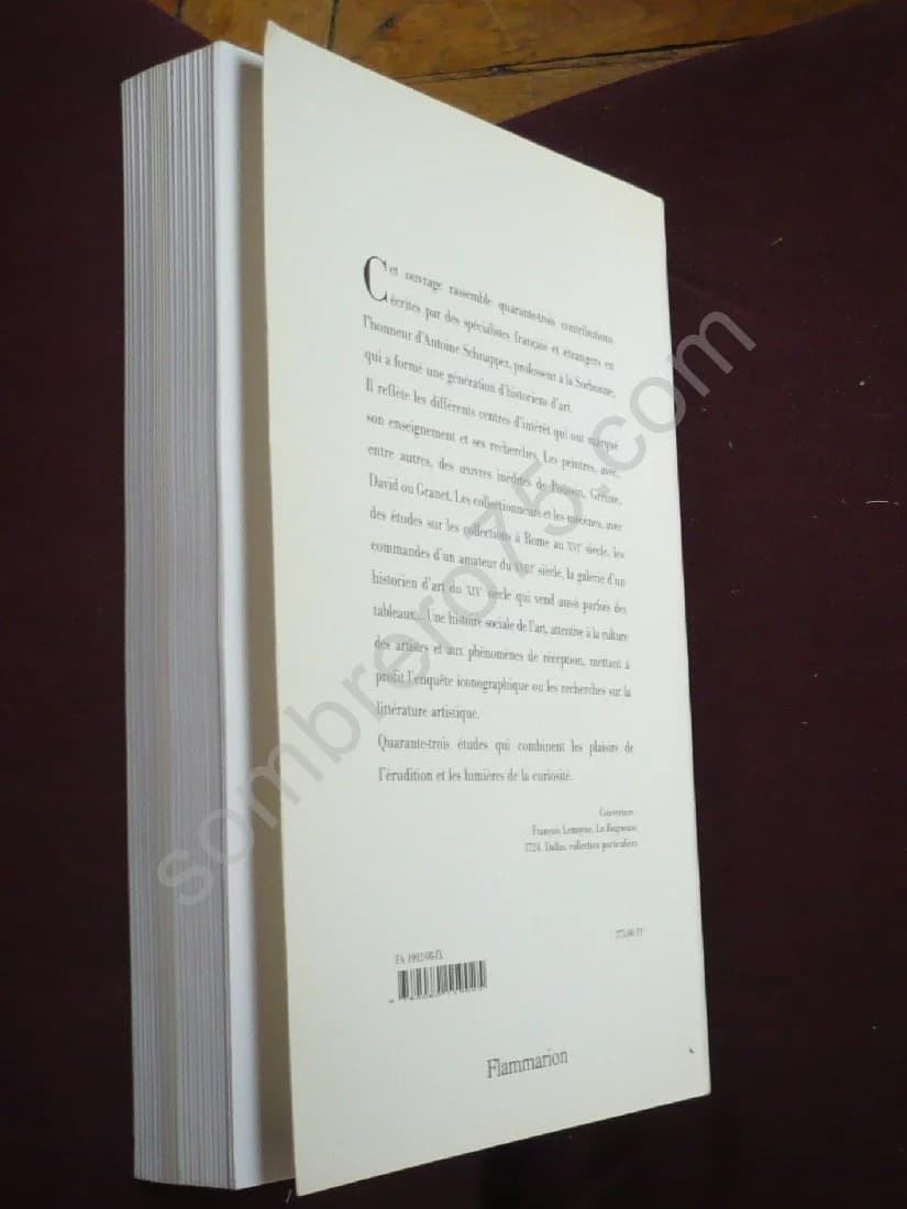 Curiosité - Etudes d'Histoire de l'Art en l'Honneur d'Antoine Schnapper - Image 3