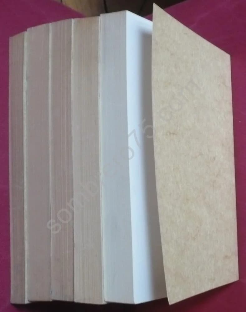 Bulletin Périodique de la Société Ariégeoise des Sciences, Lettres et Arts - 5 Volumes - Image 3