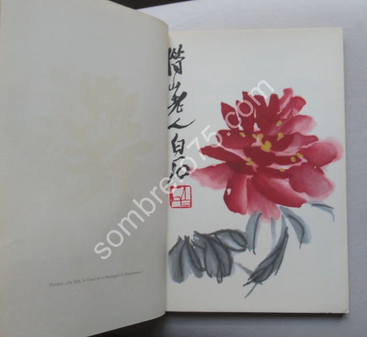 L'univers de Chi Pai Shih : Bois et Aquarelles de l'atelier de Pékin - Image 7