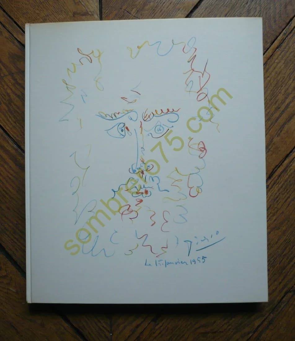 Picasso Dessins Présentation Jardot