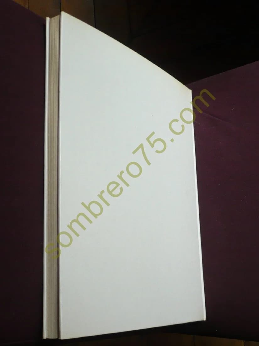 Picasso Dessins Présentation Jardot - Image 3