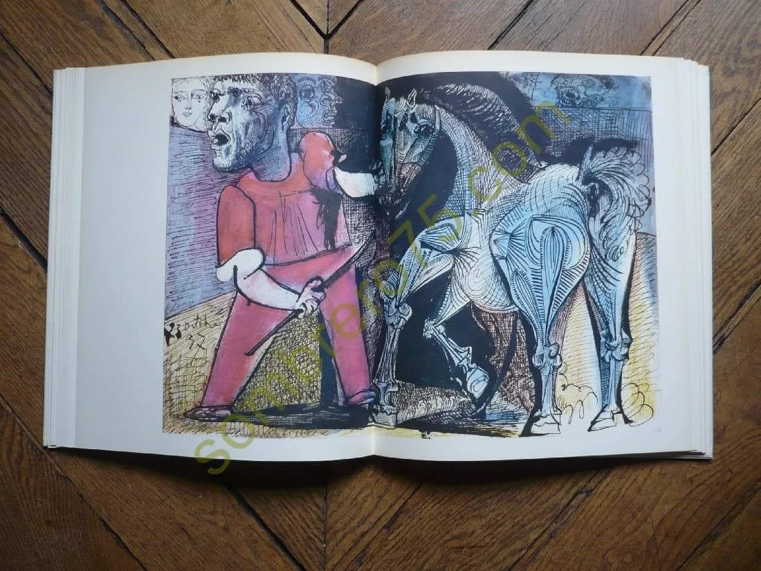 Picasso Dessins Présentation Jardot - Image 4