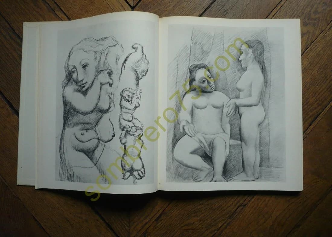 Picasso Dessins Présentation Jardot - Image 5