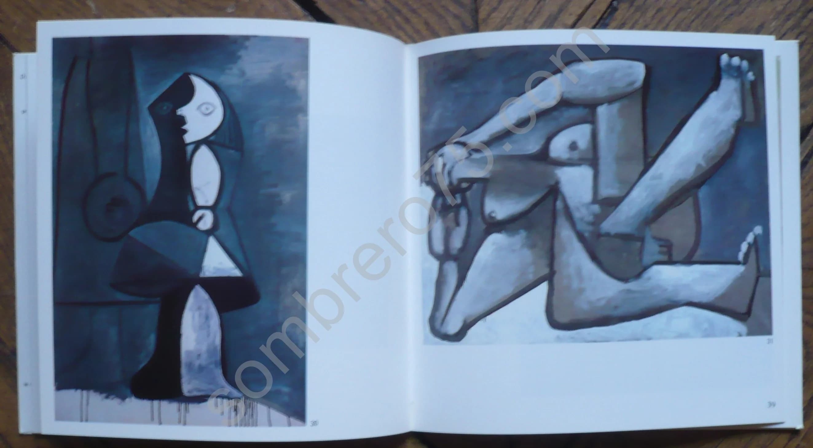 Picasso, 51 Peintures 1904 - 1972. Galerie Leiris - Image 3