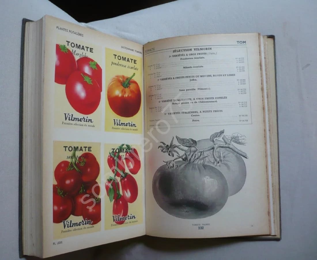 Dictionnaire des Plantes Potagères - Image 5