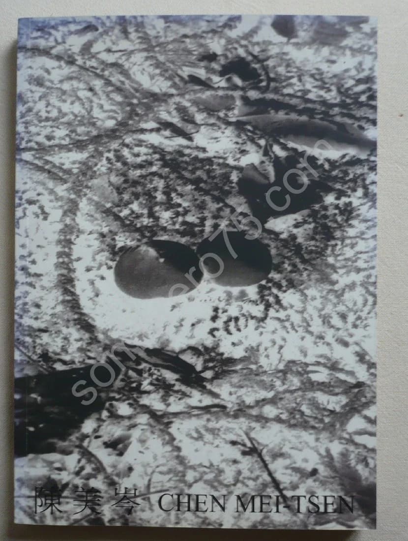 Chen Mei-Tsen. Galerie 91