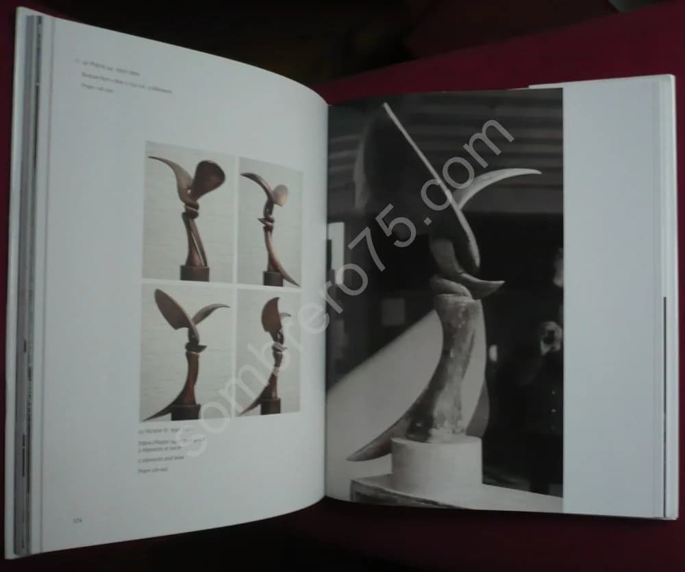 Strebelle À (In) Paris. Ph DASNOY - Image 7