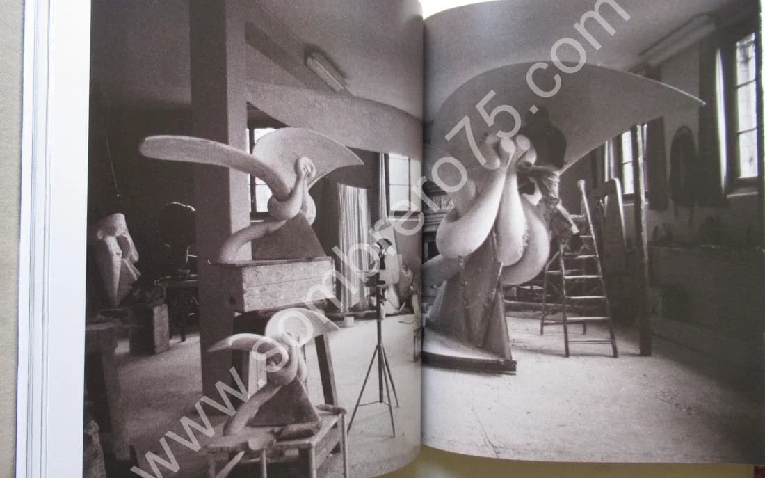 Strebelle À (In) Paris. Ph DASNOY - Image 9