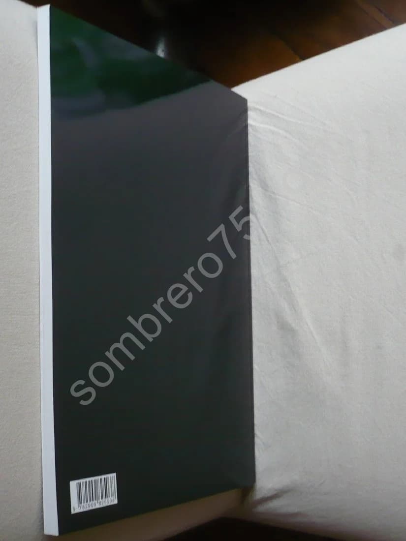 Un Goût d'Italie: Céramiques et Céramistes Italiens en Provence du Moyen Age au XXe Siècle - Image 3