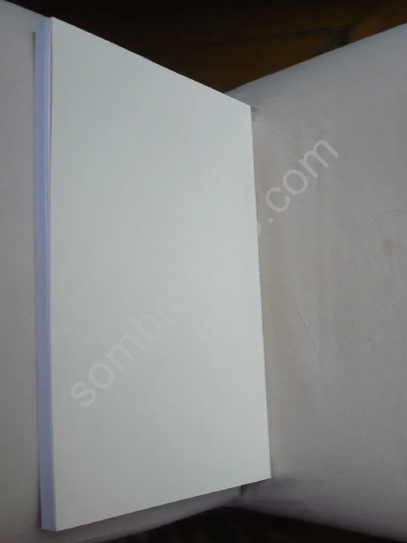 Grès du Berry. Inventaire Images Couleurs. Collection Guillaume. Martine Houze - Image 3