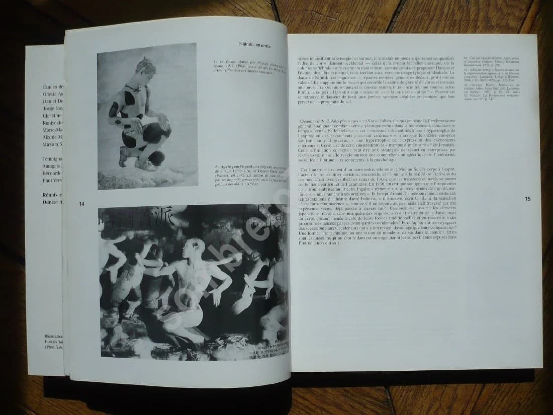 Butô (S) Arts du Spectacle. CNRS - Image 4