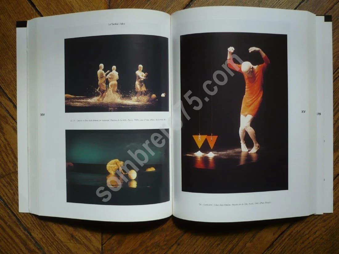 Butô (S) Arts du Spectacle. CNRS - Image 5