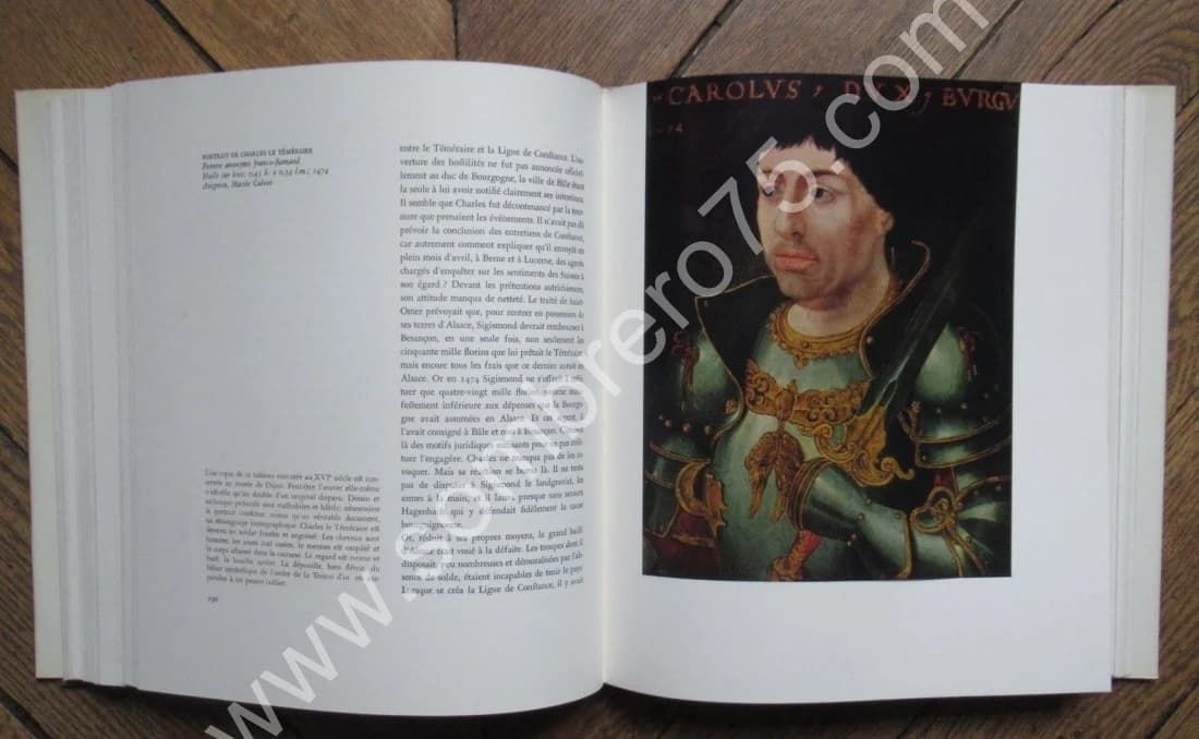 Charles Le Téméraire - Image 8