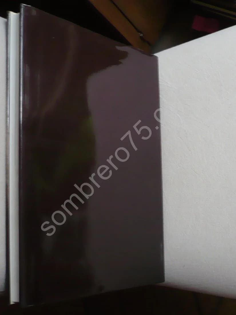 La Photographie - Jean luc DAVAL - Image 3