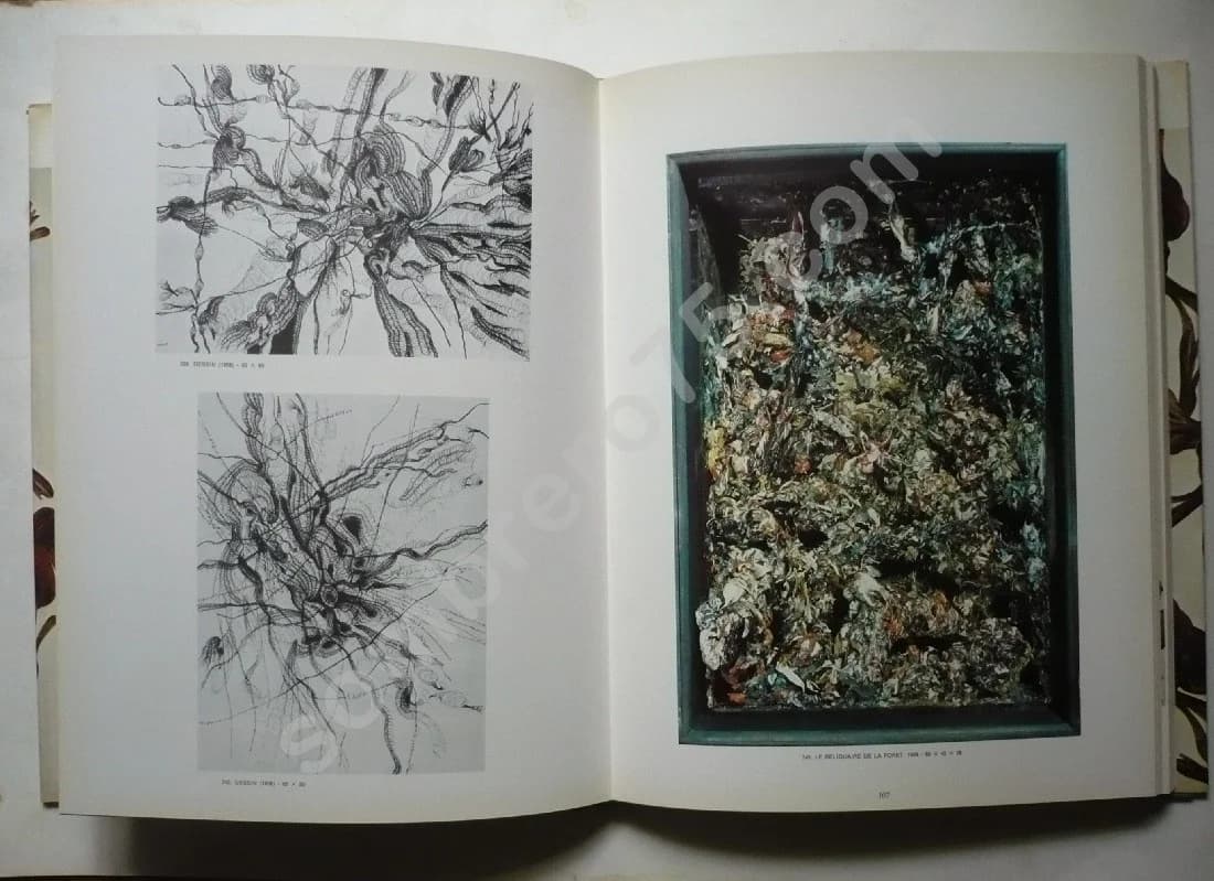 Bernard Requichot - Image 3