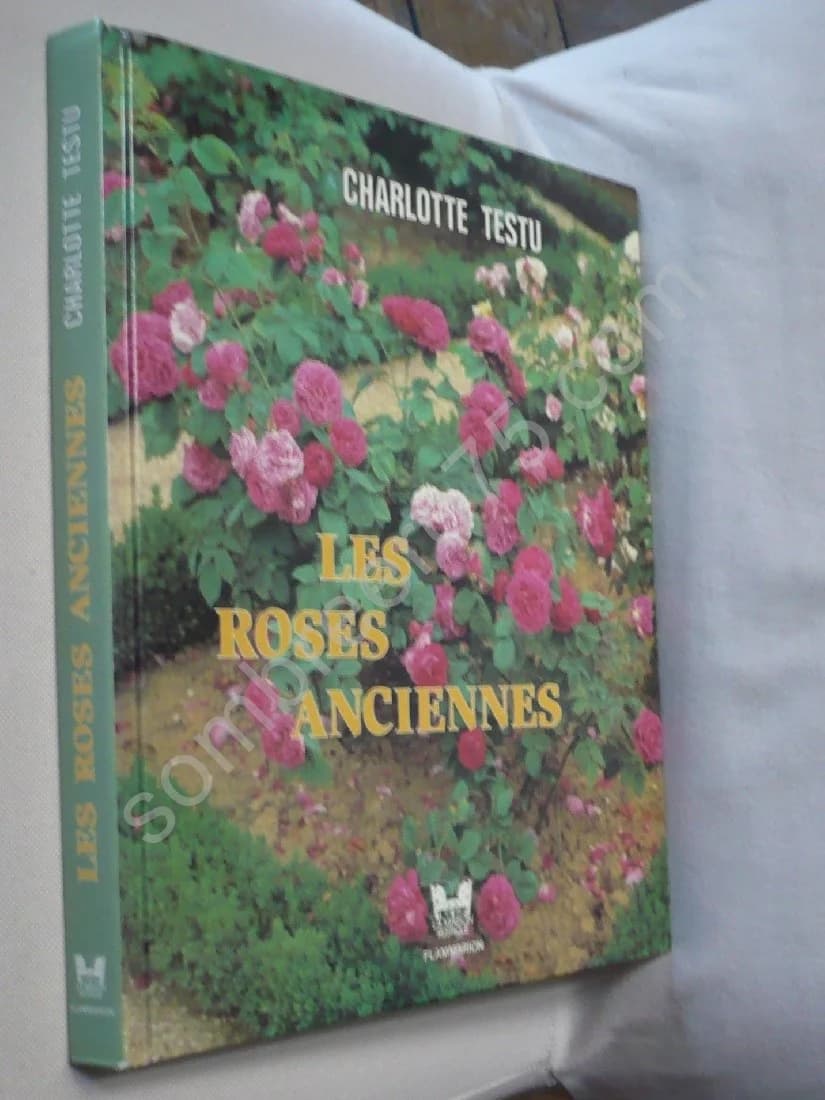 Les Roses Anciennes - Image 2