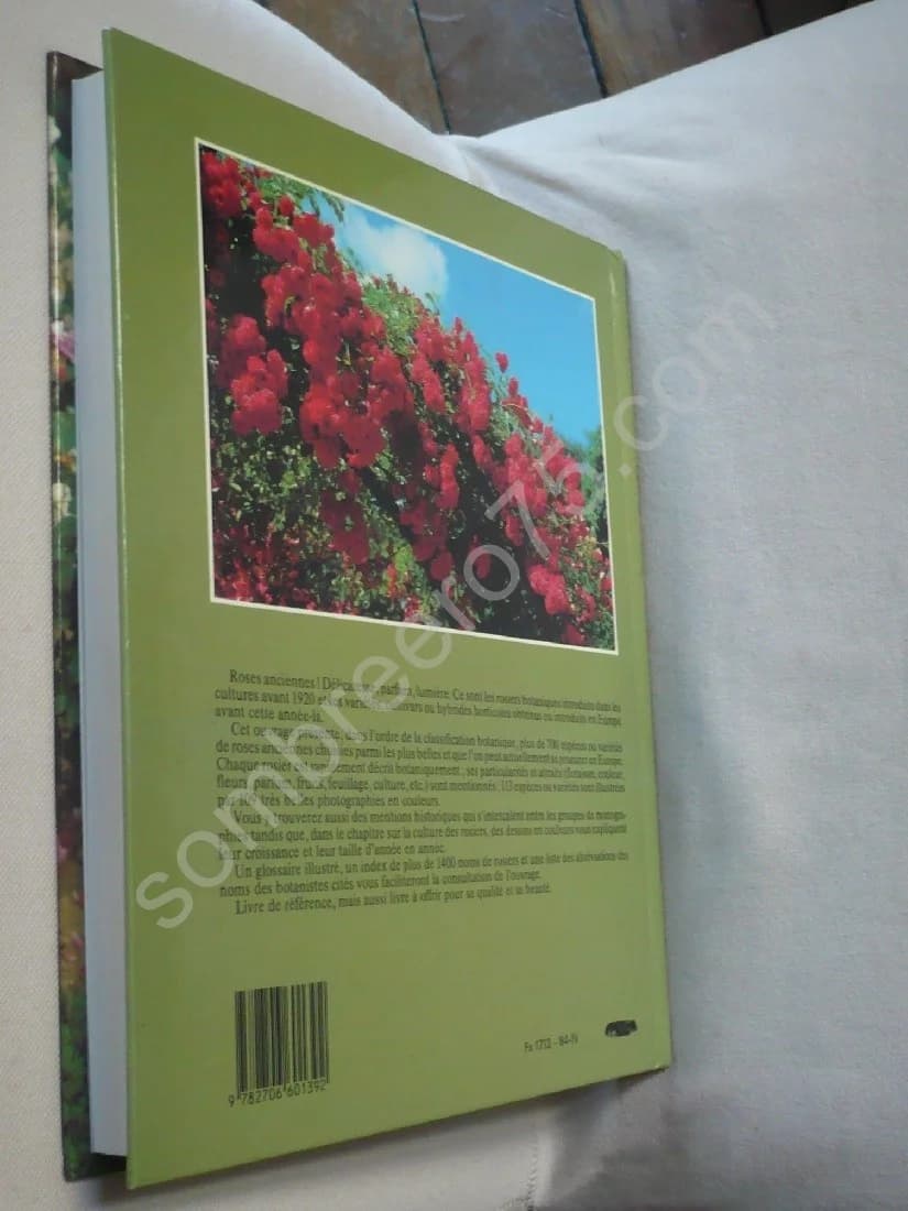 Les Roses Anciennes - Image 4