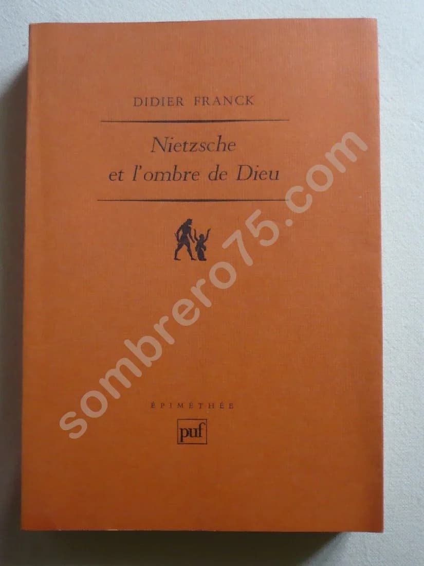 Nietzsche et l'Ombre de Dieu