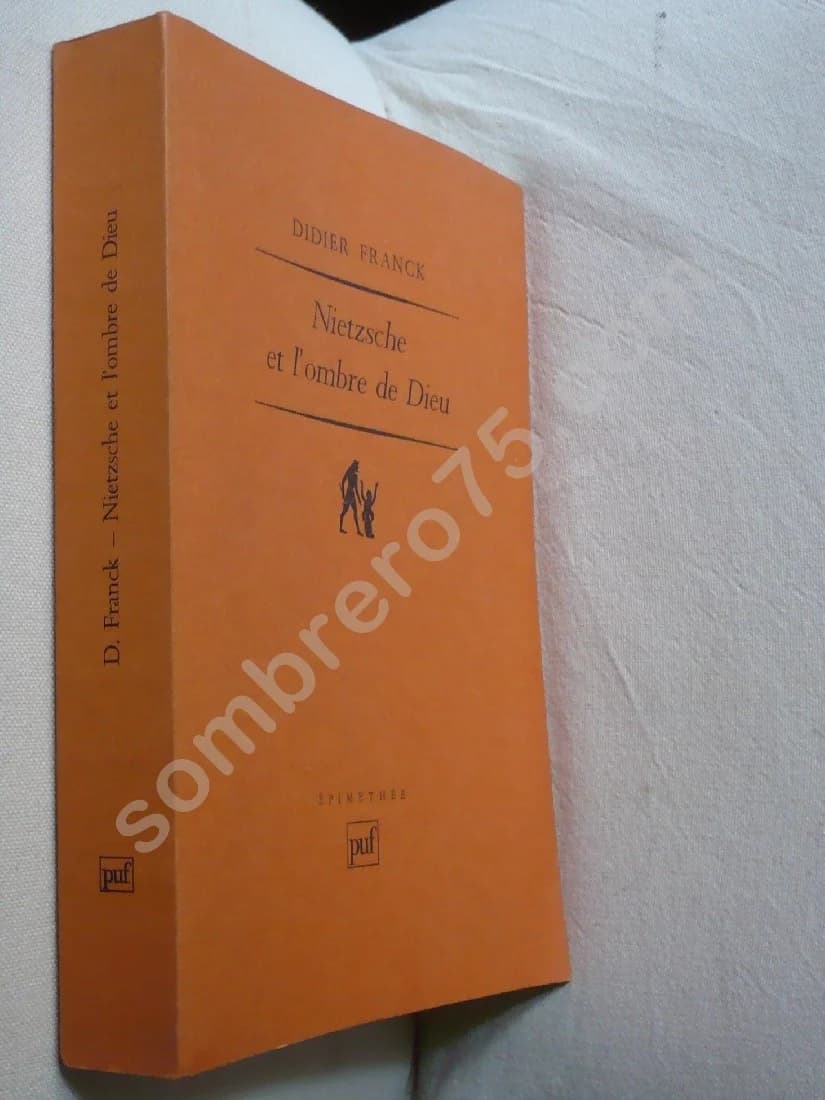 Nietzsche et l'Ombre de Dieu - Image 2