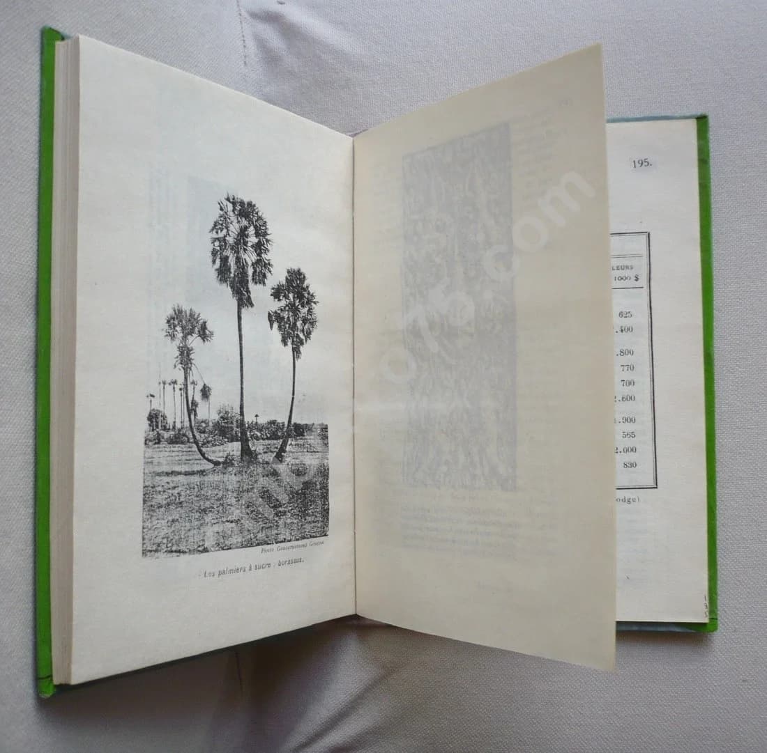 Les Auteurs Français et l'Indo-Chine - Image 3