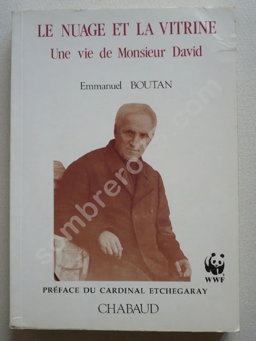 Le Nuage et la Vitrine. Une vie de Monsieur David