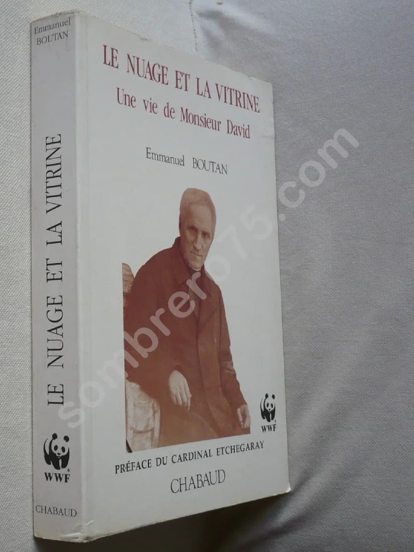 Le Nuage et la Vitrine. Une vie de Monsieur David - Image 2