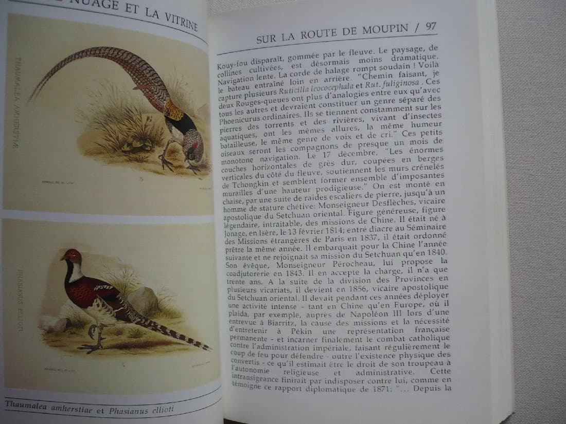 Le Nuage et la Vitrine. Une vie de Monsieur David - Image 4