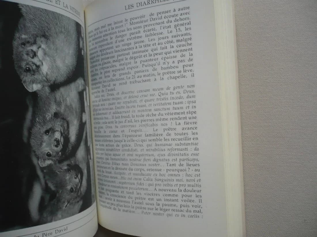 Le Nuage et la Vitrine. Une vie de Monsieur David - Image 5