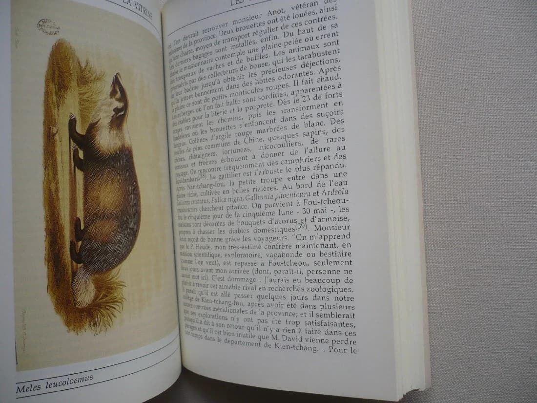 Le Nuage et la Vitrine. Une vie de Monsieur David - Image 6