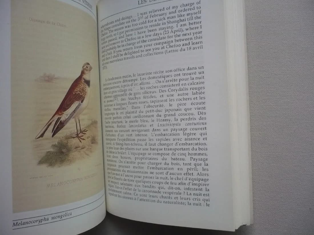 Le Nuage et la Vitrine. Une vie de Monsieur David - Image 7