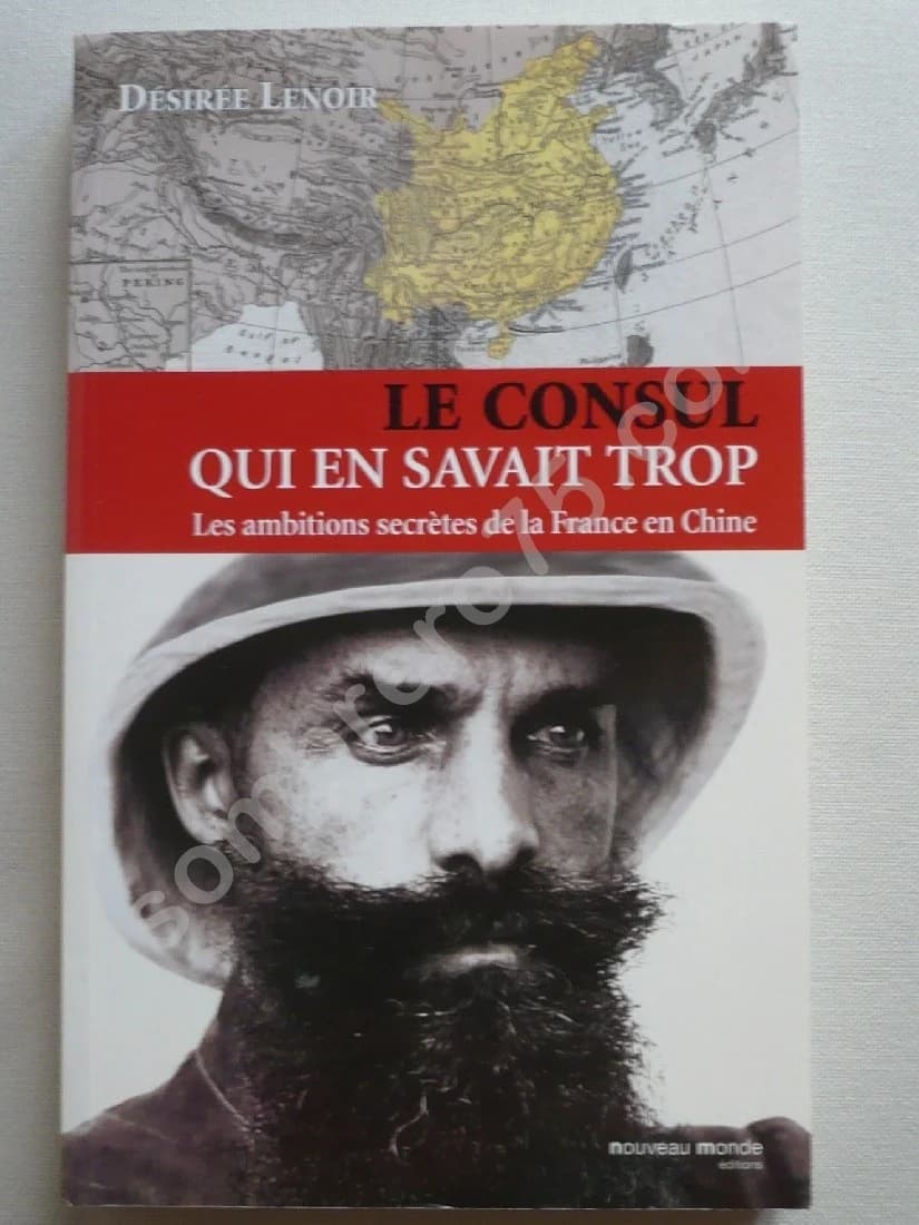 Le Consul qui en savait trop. Les ambitions secrètes de la France en Chine
