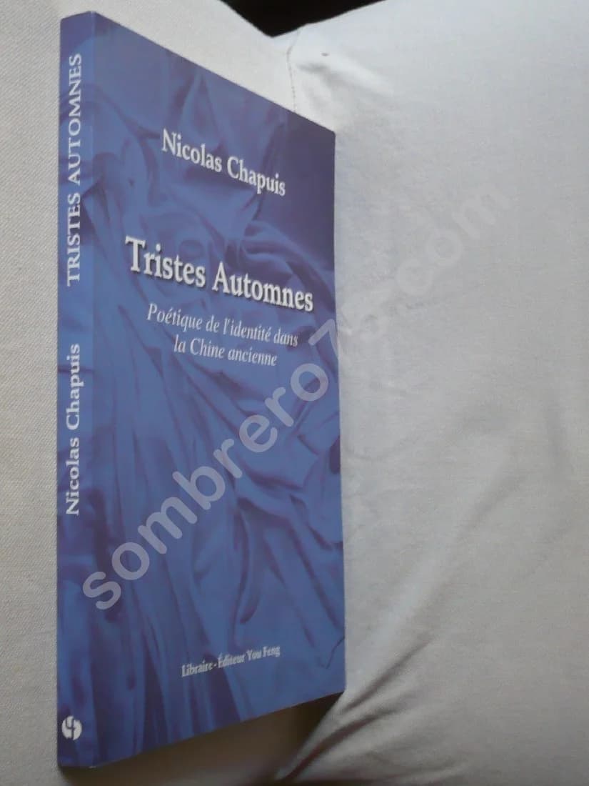 Tristes Automnes Poétique de l'Identité dans la Chine Ancienne - Image 2