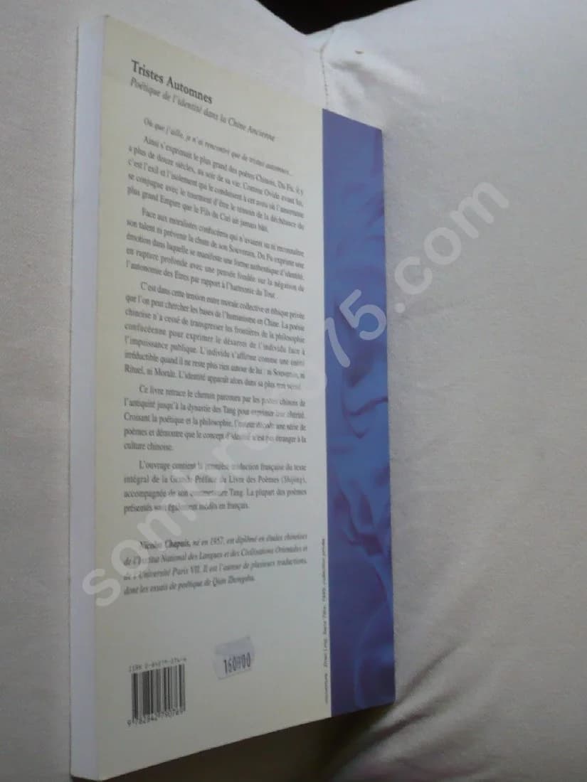 Tristes Automnes Poétique de l'Identité dans la Chine Ancienne - Image 3