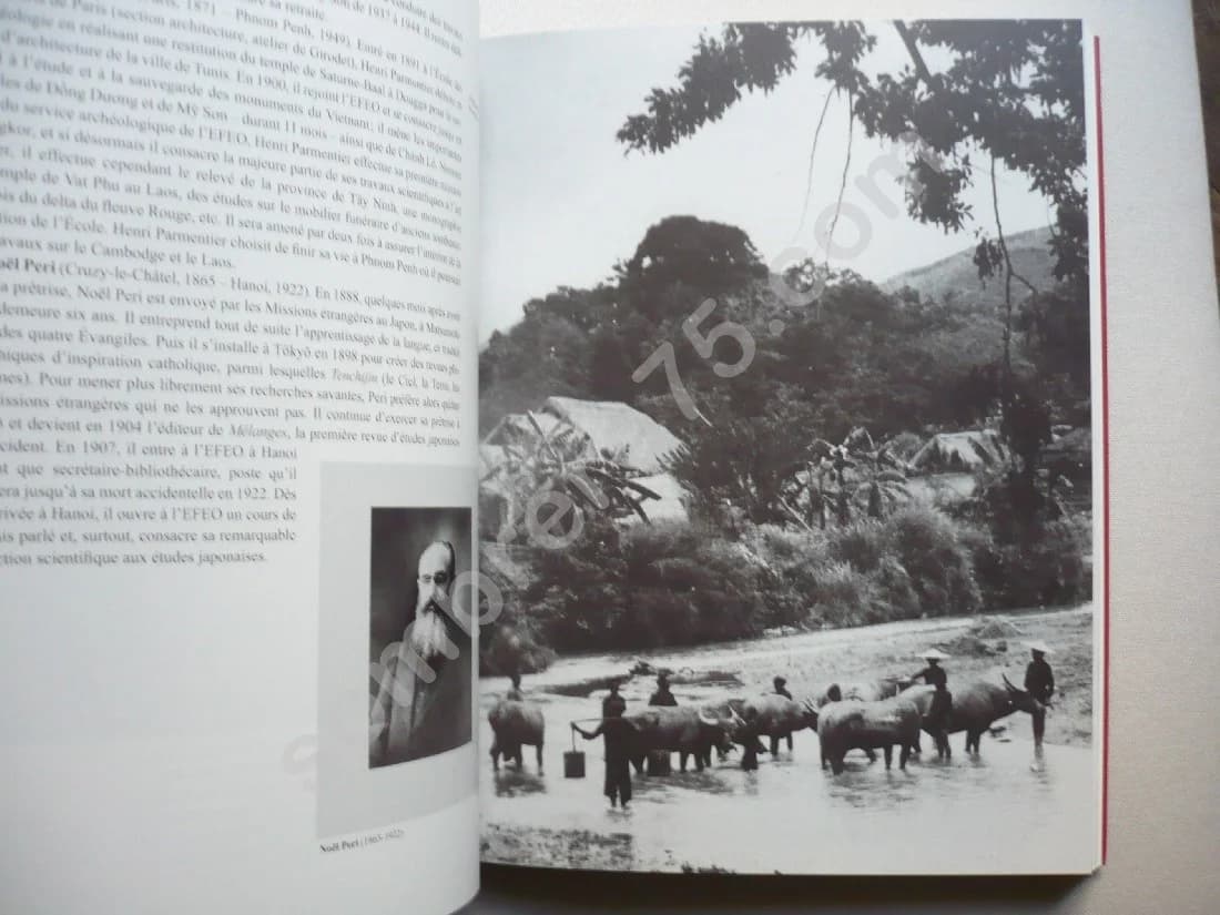 Objectif Vietnam - Photographies de l'Ecole Française d'Extrême Orient - Image 5