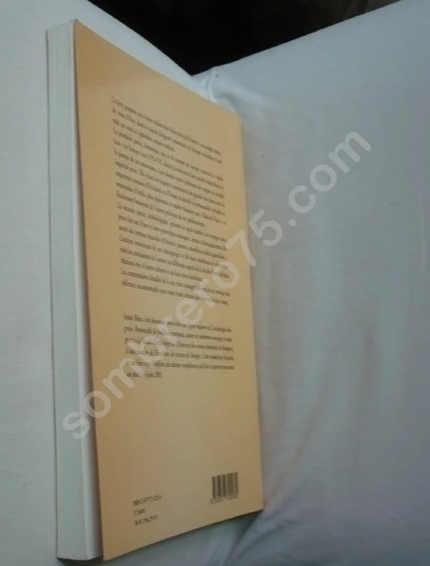 Les Huns: Le grand Empire barbare d'Europe IVe - Ve siècle - Image 4