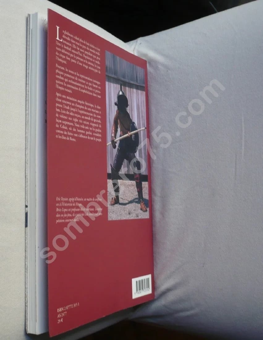 Gladiateurs : Des sources à l'expérimentation - Image 3