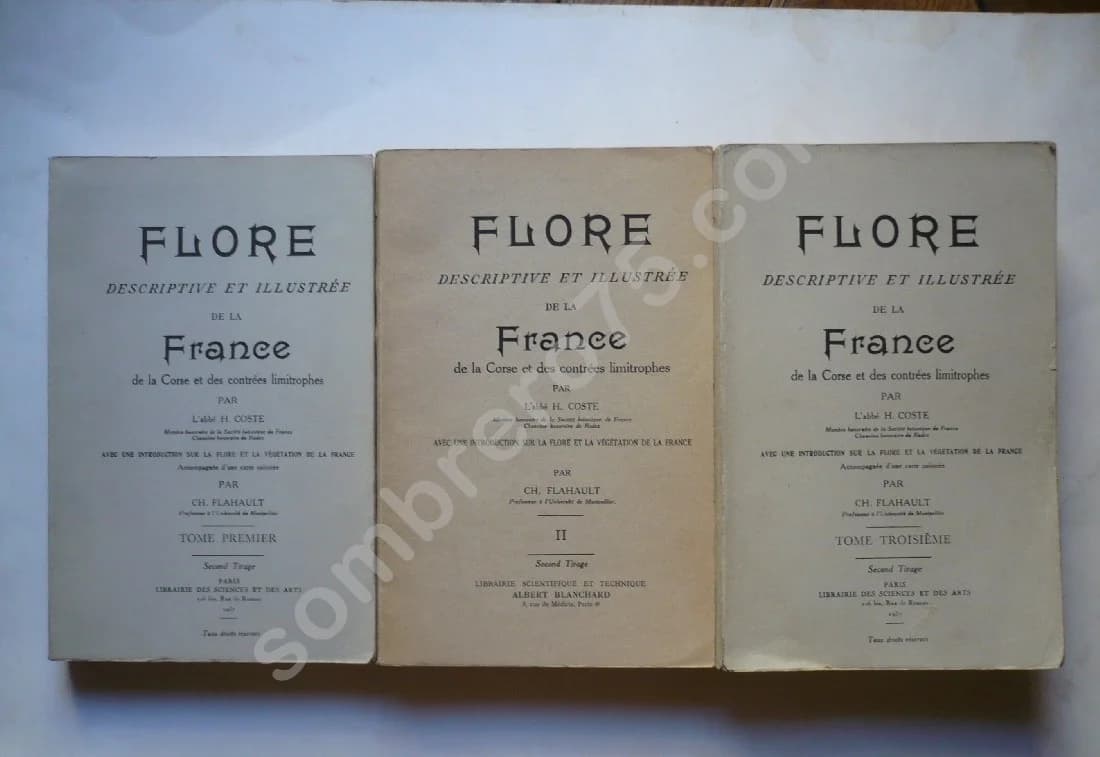 Flore Descriptive et Illustrée de la France de la Corse et des Contrées Limitrophes