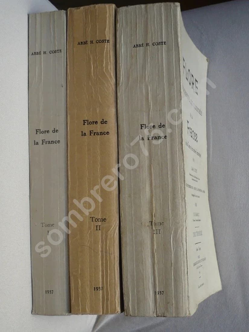 Flore Descriptive et Illustrée de la France de la Corse et des Contrées Limitrophes - Image 2