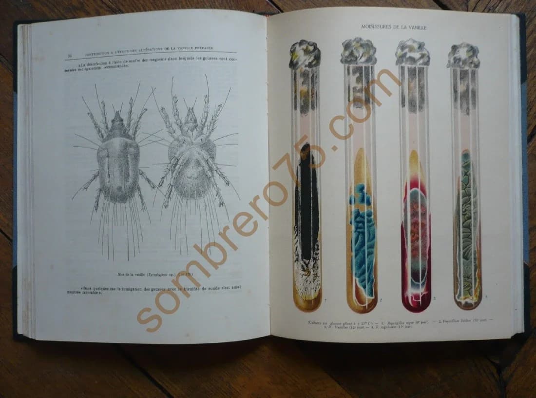 Bulletin de l'Académie Malgache Nouvelle série Tome XXIV 1941 Colonie de Madagascar et Dépendances - Image 4