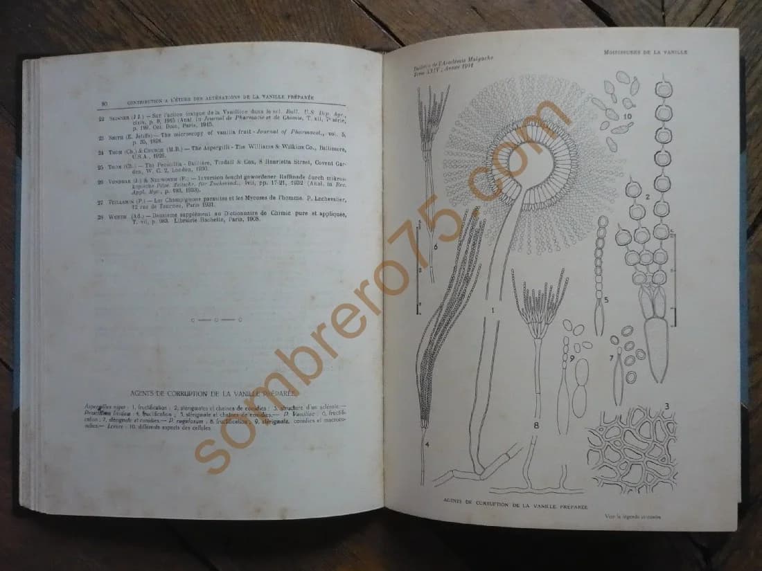 Bulletin de l'Académie Malgache Nouvelle série Tome XXIV 1941 Colonie de Madagascar et Dépendances - Image 5