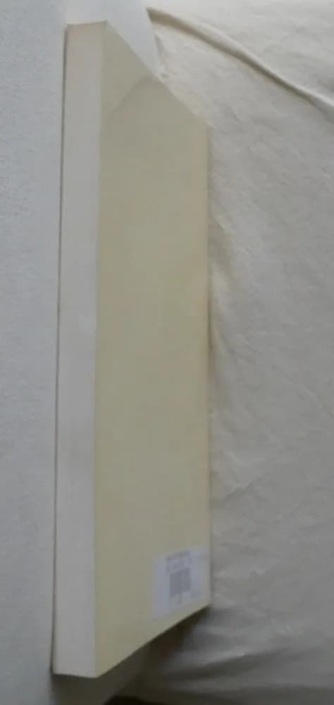 La Tradition Hermétique. Les Symboles et la Doctrine. EVOLA - Image 3