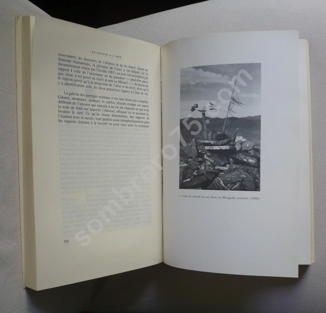 La Chasse à l'Âme - Esquisse d'une théorie du chamanisme sibérien - Image 5