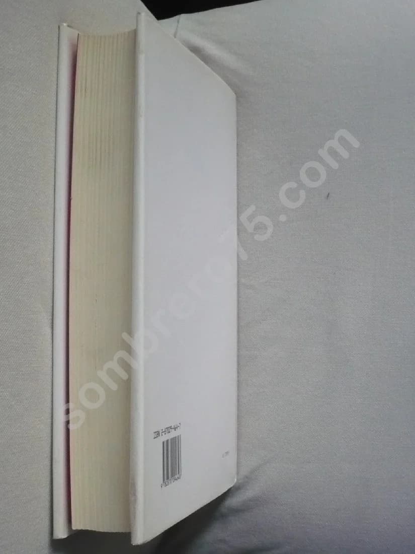 Histoire de l'Opéra Italien - L'Opéra Spectacle - Tome 5 - Image 3