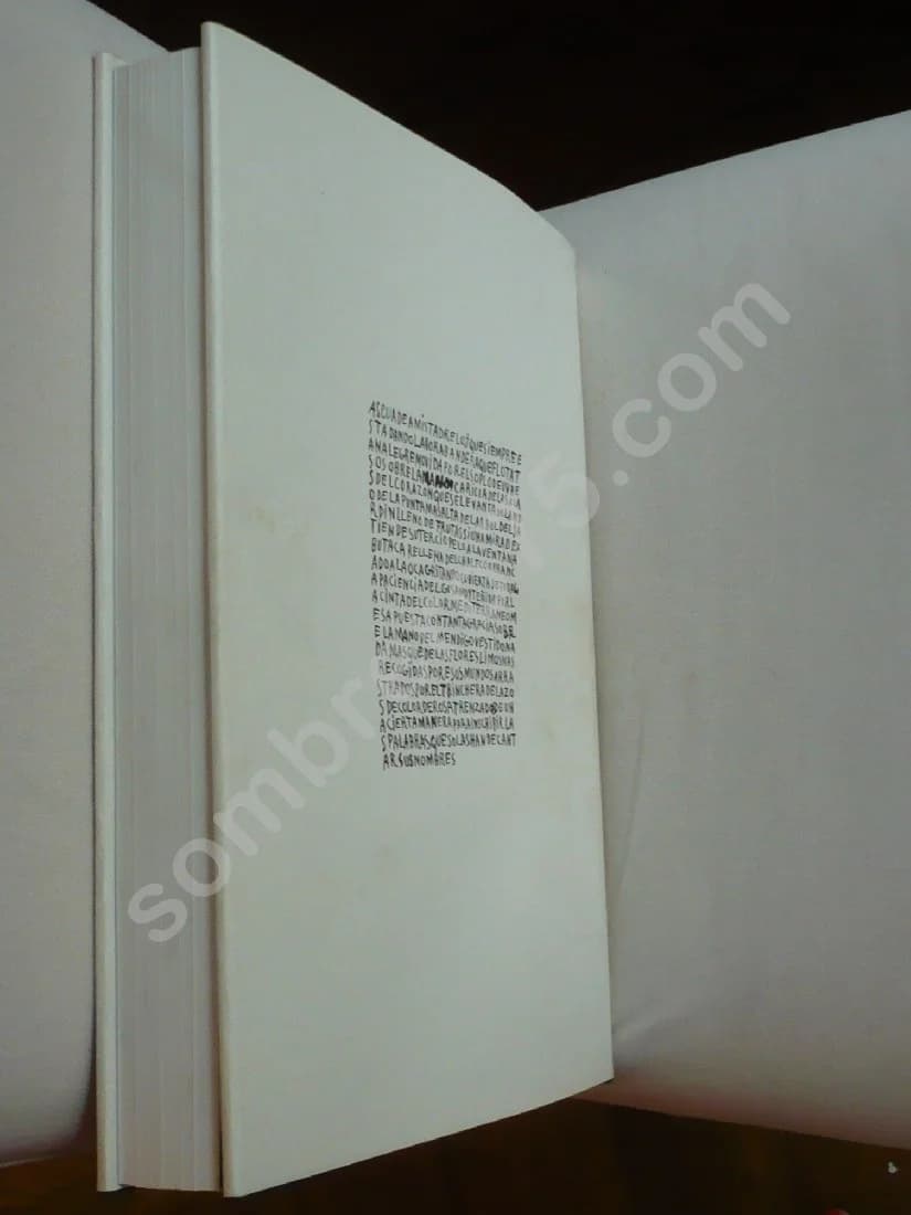 Picasso Ecrits - Image 6