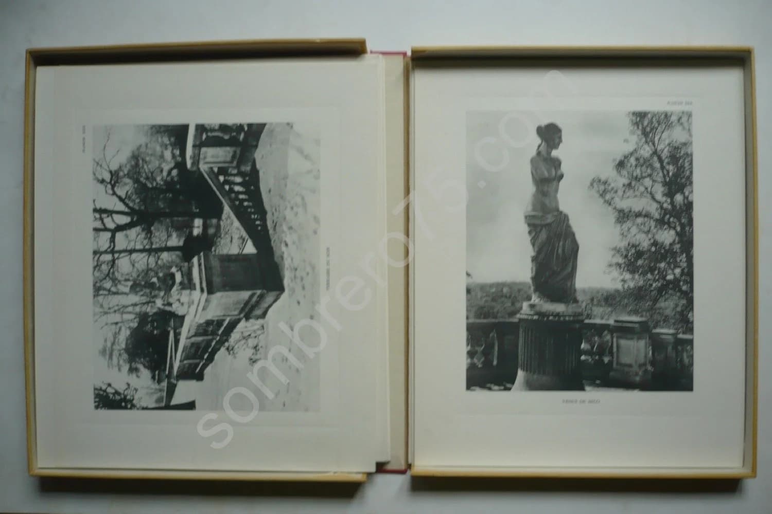 Le Petit Château de la Celle Saint Cloud. Douchan STANIMIROVITCH - Image 3