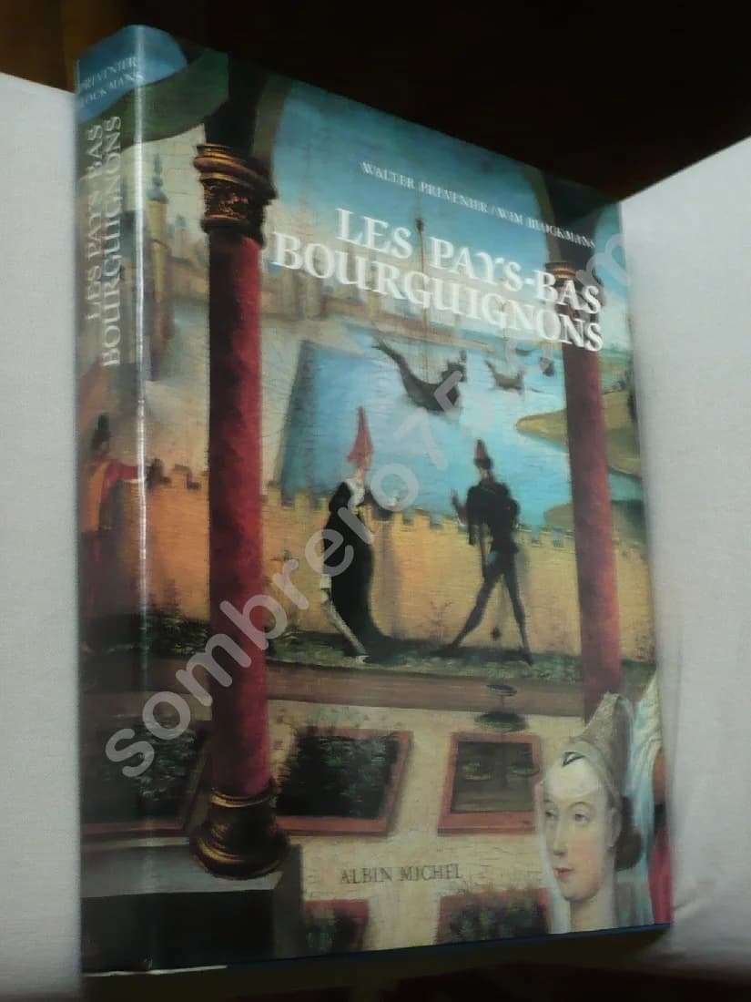 Les Pays Bas Bourguignons - Walter Prévenier - Image 2