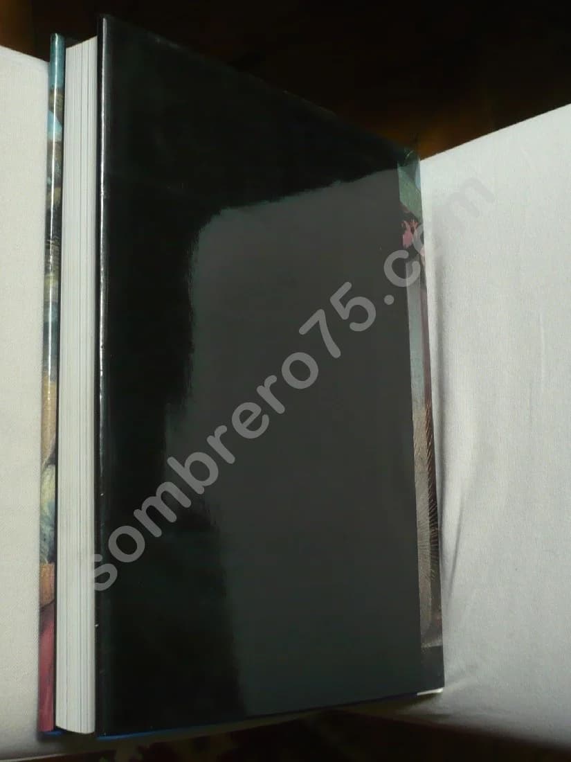 Les Pays Bas Bourguignons - Walter Prévenier - Image 5